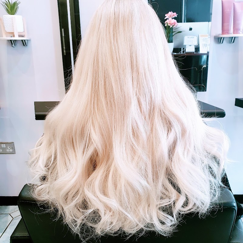 The Wacky Hair Co