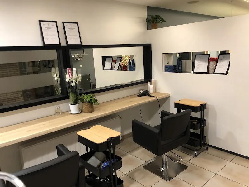 Salon Fenix