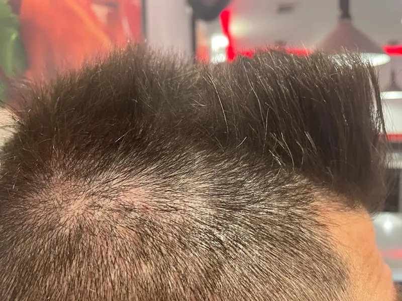 Luis Carlos Peluquero Hombre - Coiffure Córdoba - Photo de couverture - OneBooking