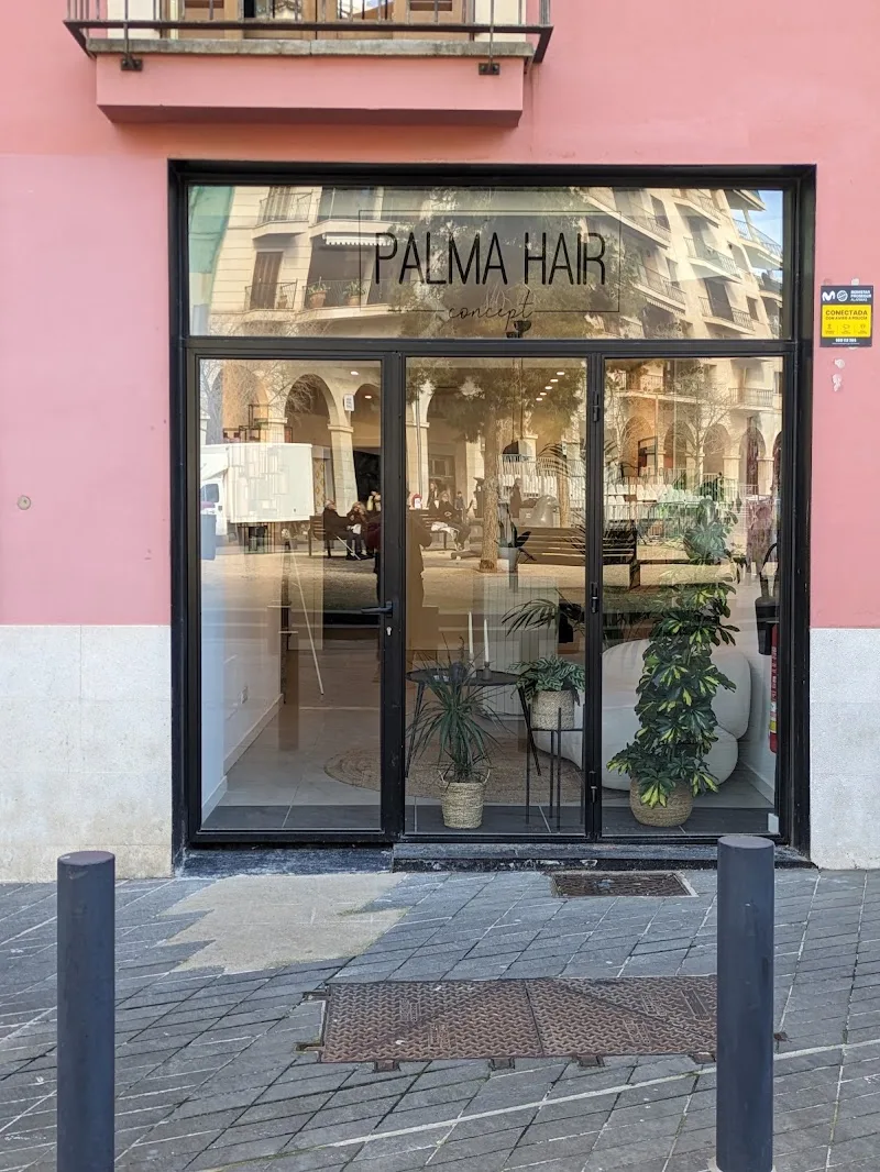 Palma Hair Concept