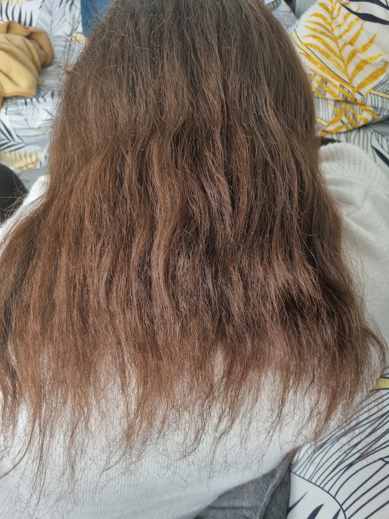 Poriau Geert - Coiffure Lokeren - Photo de couverture - OneBooking