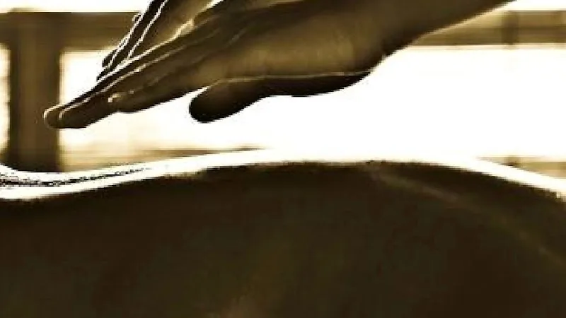 Massage Rouen Namaste massage aux huiles naturelles et vegan