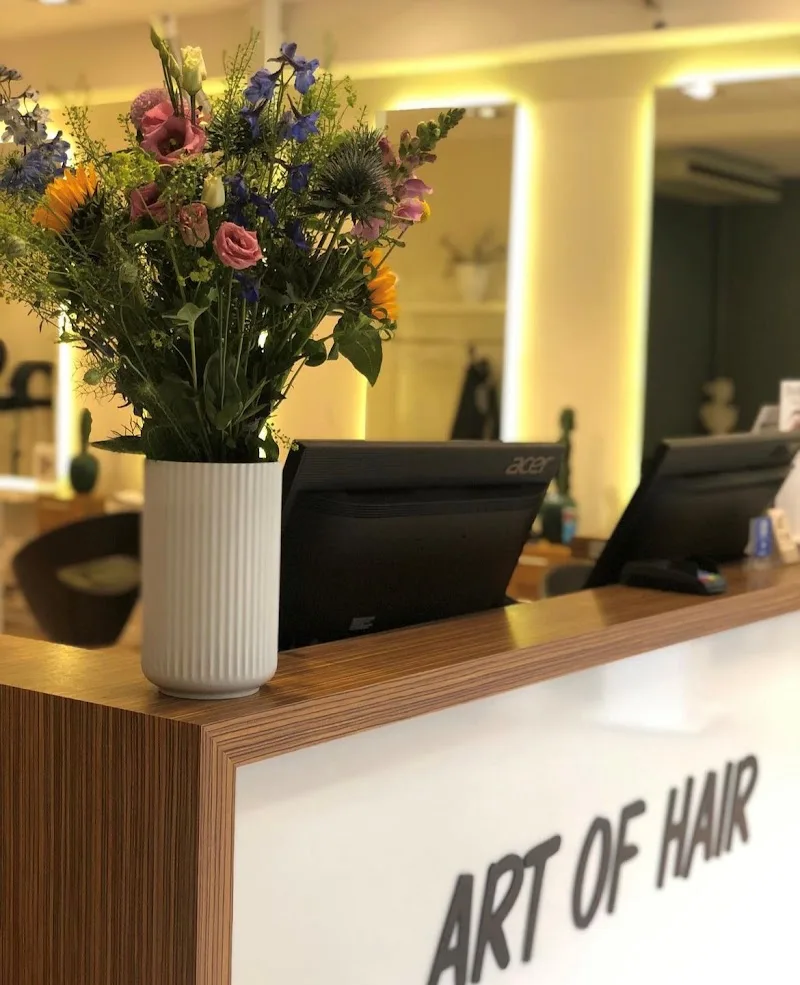 Art Of Hair