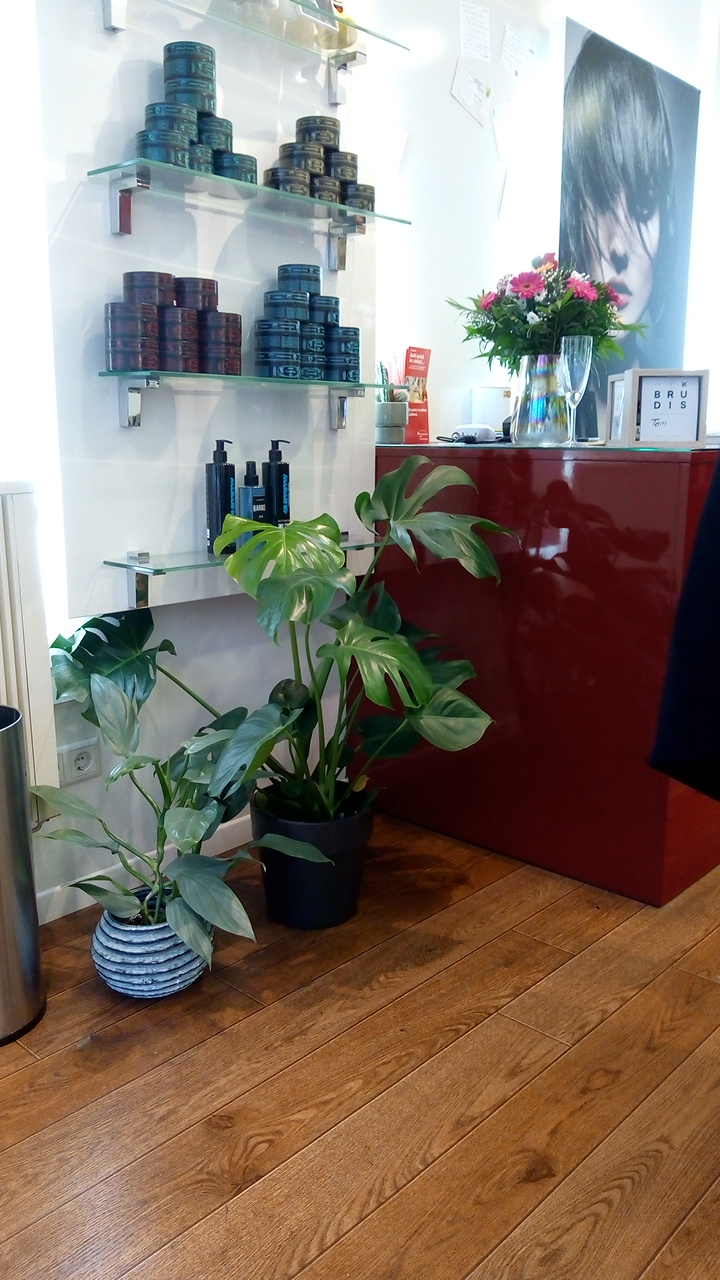 DIE 2 BRUDIS - Coiffure Cologne - Photo de couverture - OneBooking