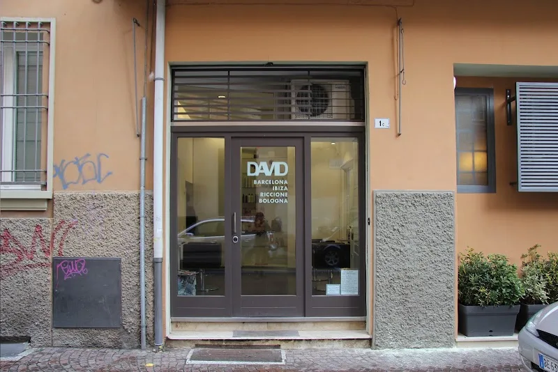 David Hair Stylist by Hela hairdesigner - Coiffure Bologna - Photo de couverture - OneBooking