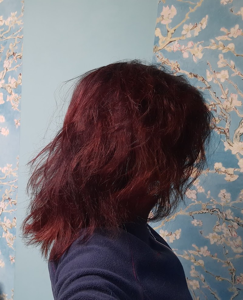 Piccas Hair - Coiffure Beveren - Photo de couverture - OneBooking