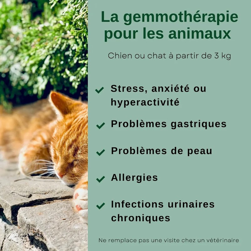 Jardin Bien-Être 06 phytothérapie pour animaux et humains