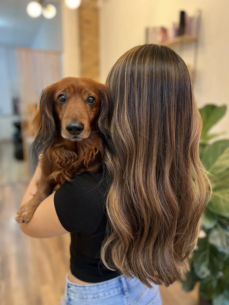 Cutter Studio Peluqueria Barcelona - Coiffure Barcelona - Photo de couverture - OneBooking