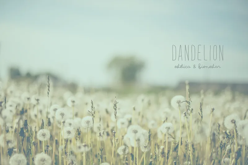 Dandelion Estetica & Bienestar - Institut de beauté Burgos - Photo de couverture - OneBooking