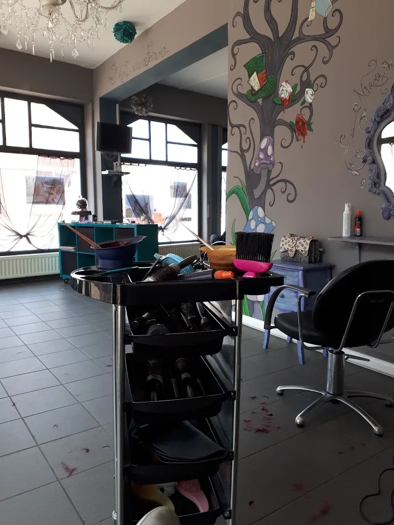 Fée Hair'Ric - Coiffure Beveren - Photo de couverture - OneBooking