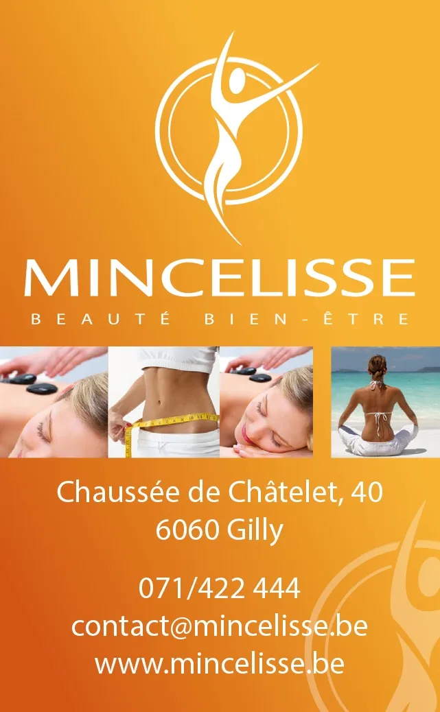 Institut Mincelisse