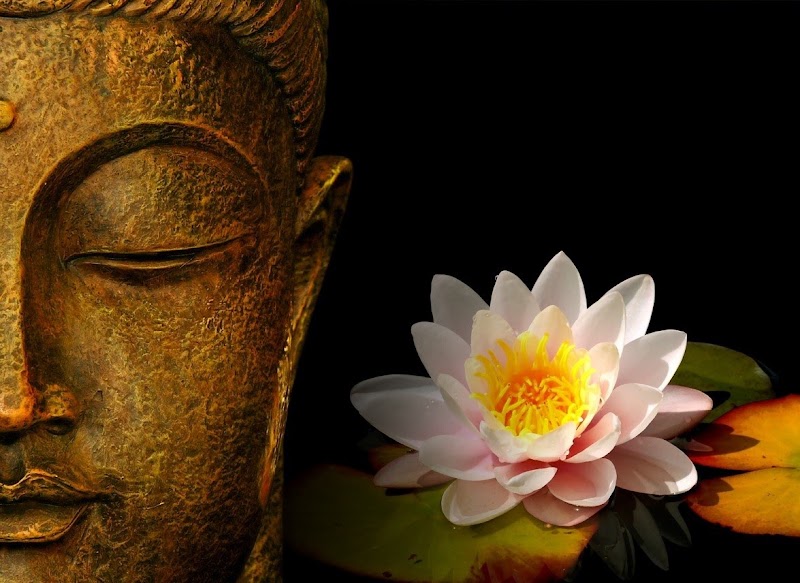 Institut Lotus - Massage Liège - Photo de couverture - OneBooking