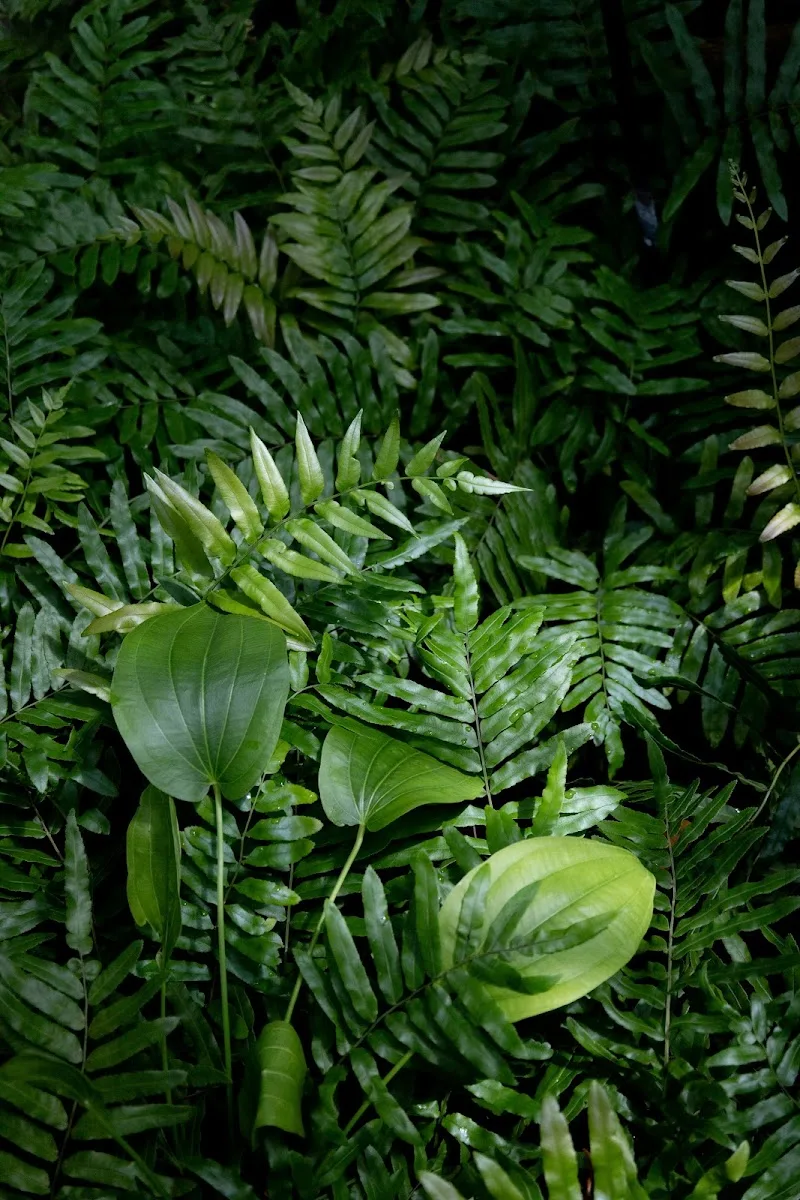 Lydia Maertens - Holistische gezondheidscoach & massages - Massage Bruges - Photo de couverture - OneBooking