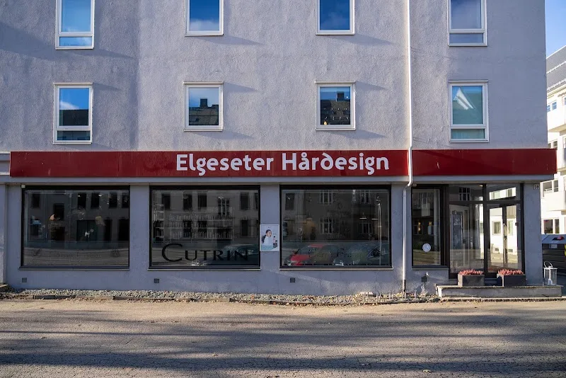 Elgeseter Hårdesign AS