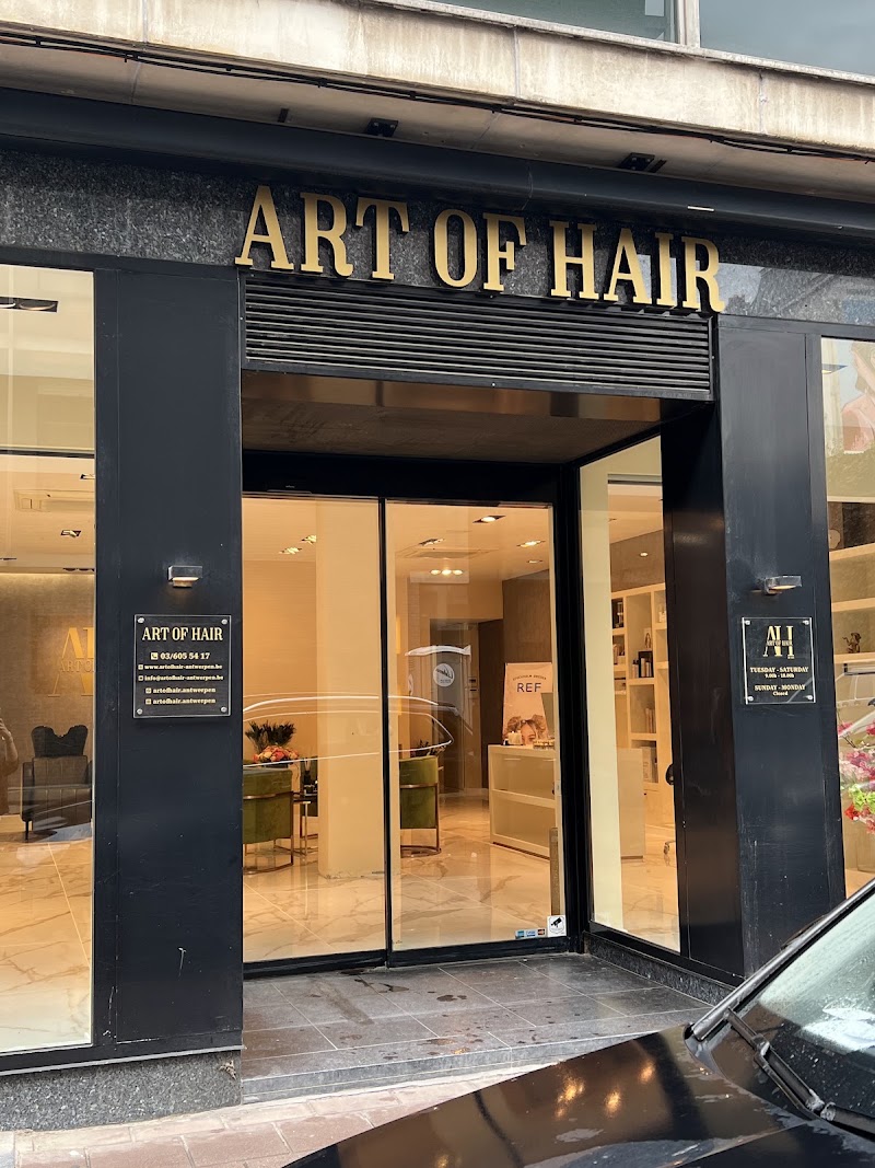 Art of Hair ✂
