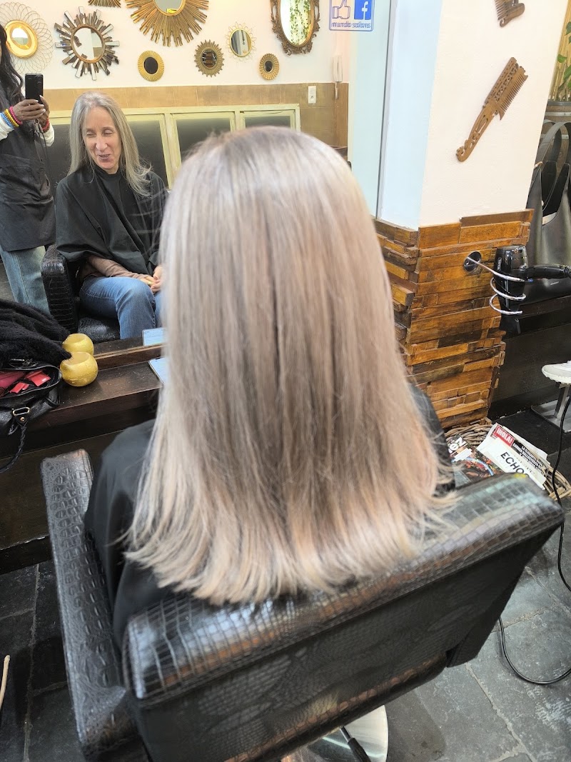 Mundo Salons - Coiffure Antwerp - Photo de couverture - OneBooking