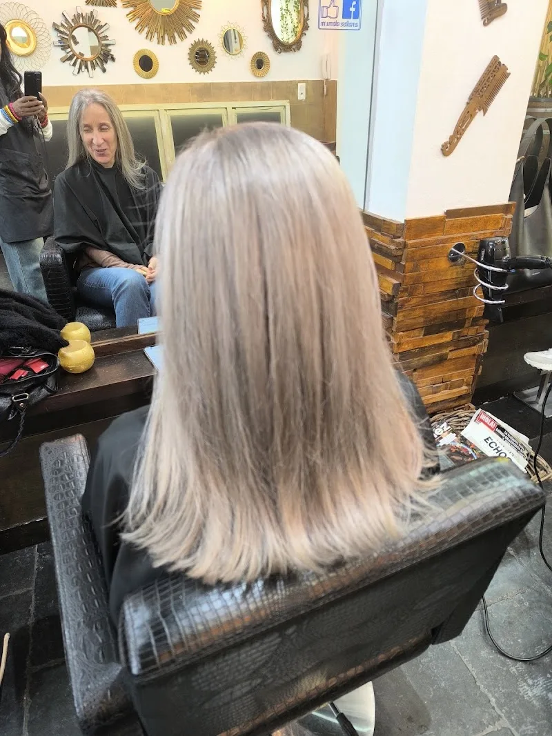 Mundo Salons