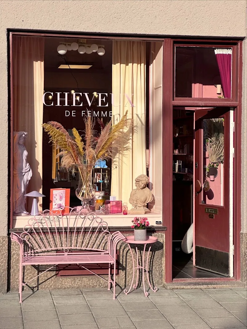 Cheveux de Femme
