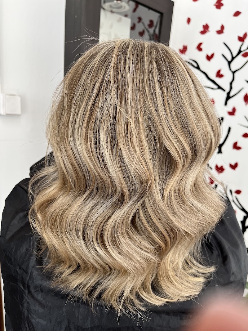 Butterfly Hair and Beauty Salon
