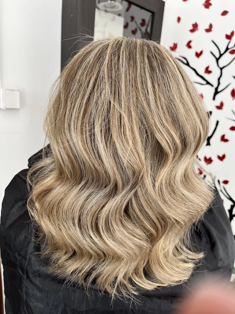 Butterfly Hair and Beauty Salon - Coiffure Brussels - Photo de couverture - OneBooking