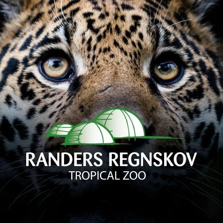 Randers Regnskov - Coiffure Randers - Photo de couverture - OneBooking