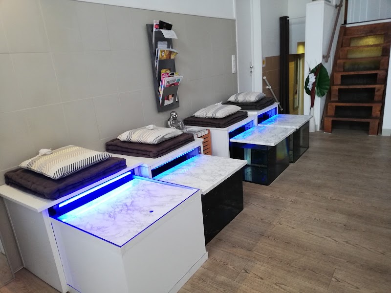 l'Atelier Bien Etre. Massages, Réflexologie Plantaire, Traitement anti cellulite - Bien-être Nice - Photo de couverture - OneBooking