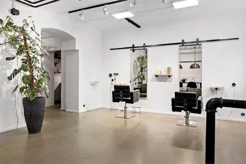 Saxess By Alex - Coiffure Stockholm - Photo de couverture - OneBooking