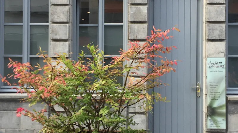 Institut Arome et Sens
