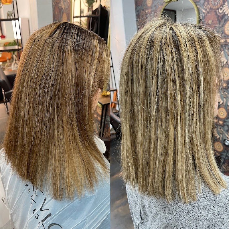 DHARMA hair spa by Sonia garveda