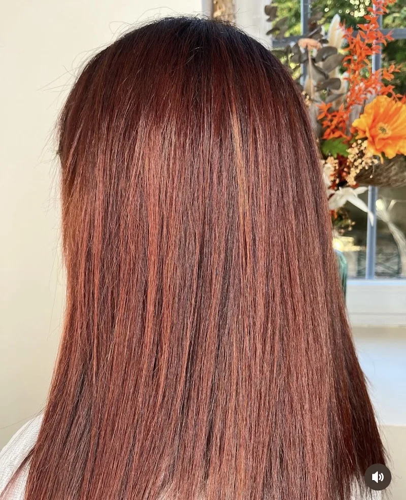 clelia coiffure