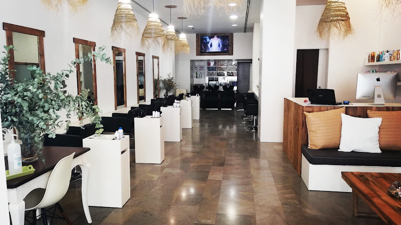 Hade ※ Peluquería Alicante
