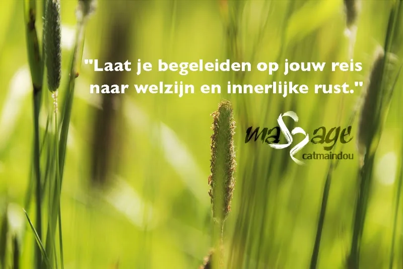 Holistische massage en coaching Catmaindou - Massage Roeselare - Photo de couverture - OneBooking