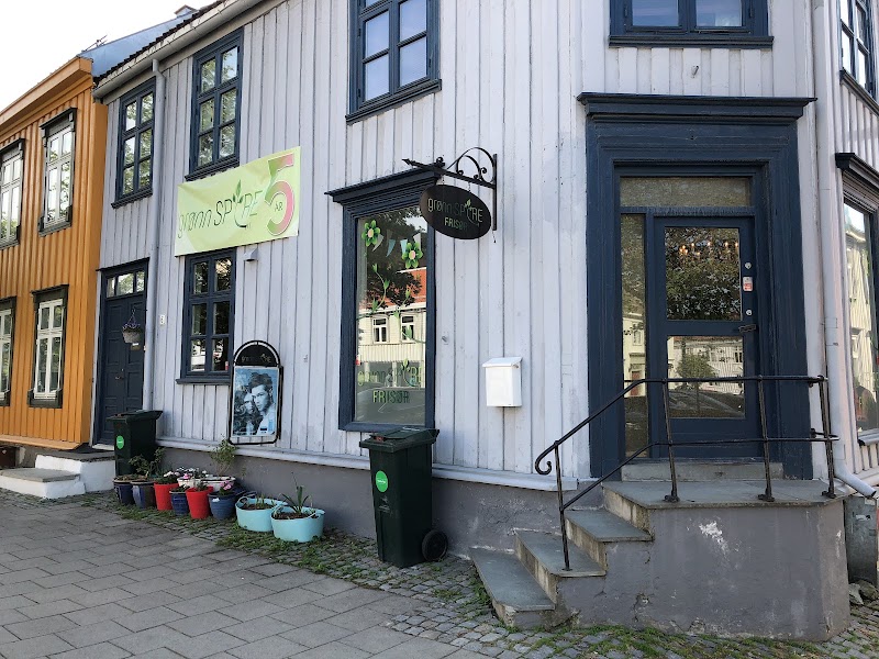 Grønn Spire - Coiffure Trondheim - Photo de couverture - OneBooking