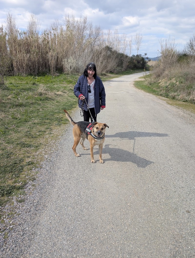 Association Secours Protection Animale